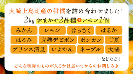お試し 旬の柑橘 約2kg の 詰め合わせ ( おまかせ2品種 と レモン ) [OK38_001]