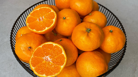 お試し 旬の柑橘 約2kg の 詰め合わせ ( おまかせ2品種 と レモン ) [OK38_001]