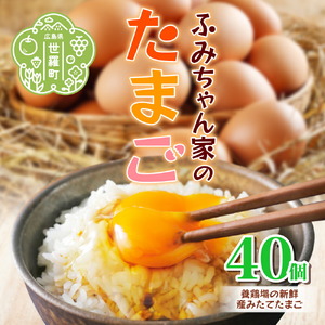 ふみちゃん家のたまご40個入 ふみちゃん家のたまご 40個入 広島県 卵 タマゴ 玉子 たまご 新鮮 世羅 生みたて卵 卵かけごはん ふみちゃん だし巻き オムライス スイーツ TKG A027-01