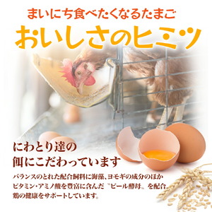 ふみちゃん家のたまご40個入 ふみちゃん家のたまご 40個入 広島県 卵 タマゴ 玉子 たまご 新鮮 世羅 生みたて卵 卵かけごはん ふみちゃん だし巻き オムライス スイーツ TKG A027-01