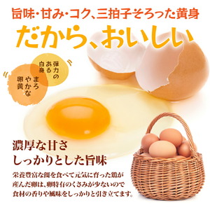 ふみちゃん家のたまご40個入 ふみちゃん家のたまご 40個入 広島県 卵 タマゴ 玉子 たまご 新鮮 世羅 生みたて卵 卵かけごはん ふみちゃん だし巻き オムライス スイーツ TKG A027-01