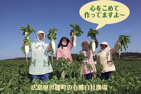 有機 乾燥千切り大根 40g×5袋セット 乾燥野菜 非常食 備蓄 ダイエット 食物繊維 マクロビ 世羅 A047-07