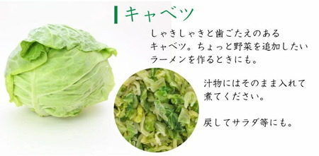 乾燥キャベツ40g×5袋セット 乾燥野菜 非常食 備蓄 ダイエット 食物繊維 キャンプ アウトドア 世羅 A047-13