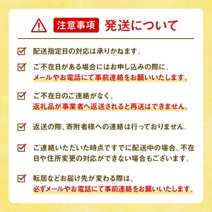 クエン酸 900g×2袋 1cc計量スプーン付き 食品添加物 食用 国産 ナチュラルクリーニング 水あか ポット クエン酸 洗浄 無水 エコ洗剤 お掃除グッズ アレス ヘルスケア A070-06