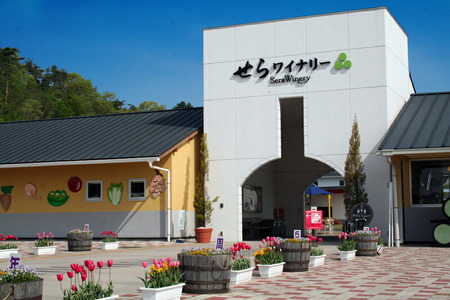 せらワイン 赤2種セット(720ml×2本) 日本ワイン ワインセット 甘口 辛口 赤ワイン ご褒美 ギフト 記念日 誕生日 クリスマス 父の日 A002-06