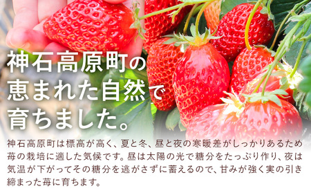 いちご 神石イチゴファームの苺 神の苺 12粒 約350g  I-temホールディングス株式会社《12月中旬-3月末頃出荷》いちご イチゴ 苺 フルーツ 果物 送料無料