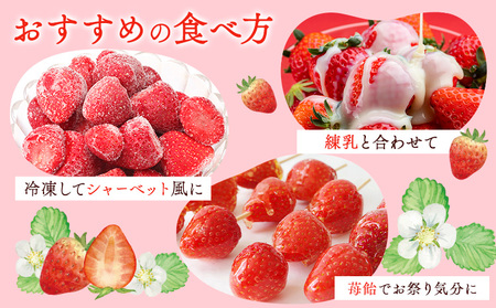 いちご 神石イチゴファームの苺 神の苺 12粒 約350g  I-temホールディングス株式会社《12月中旬-3月末頃出荷》いちご イチゴ 苺 フルーツ 果物 送料無料