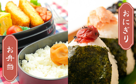 米 20kg 無洗米 お米20キロ 神石高原応援米《7-14日以内に出荷予定(土日除く)》こめ コメ 国産 おにぎり 弁当 ツヤ