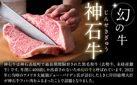 牛肉 神石牛 ステ－キ セット 200g 2枚 計 400g さんわ182ステーション《30日以内に出荷予定(土日祝除く)》和牛 牛 肉 サーロイン グルメ