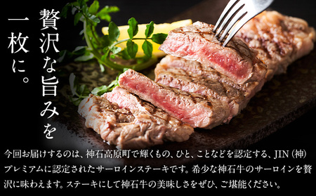 牛肉 神石牛 ステ－キ セット 200g 2枚 計 400g さんわ182ステーション《30日以内に出荷予定(土日祝除く)》和牛 牛 肉 サーロイン グルメ