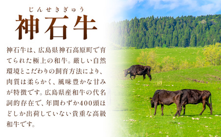 カレー レトルト 牛肉カレー 神石牛 幻の神石牛カレー たっぷり 6個セット 1個200g 株式会社 帝釈峡スコラ《30日以内に出荷予定(土日祝除く)》和牛 牛 肉 手作り スパイス 送料無料