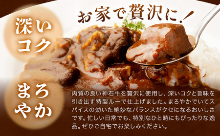 カレー レトルト 牛肉カレー 神石牛 幻の神石牛カレー たっぷり 6個セット 1個200g 株式会社 帝釈峡スコラ《30日以内に出荷予定(土日祝除く)》和牛 牛 肉 手作り スパイス 送料無料