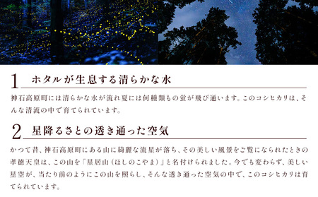 神石高原町産 コシヒカリ 米 5kg 株式会社MSERRNT《寄附後2週間日以内に出荷予定(土日祝除く) 》お米 白米 ご飯 ごはん 白ご飯 白飯 国産 コメ 広島県 神石高原町