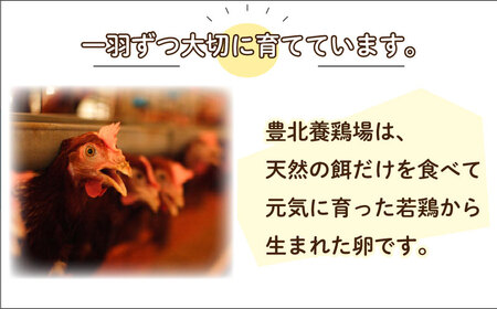 【3回定期便】 卵 計90個 卵