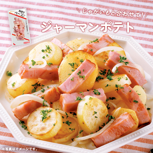 ソーセージ ベーコン 詰め合わせ 約1.45kg | ソーセージ HU002