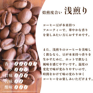 【浅煎り】訳ありコーヒー粉800g グアテマラ 自家焙煎コーヒー EW