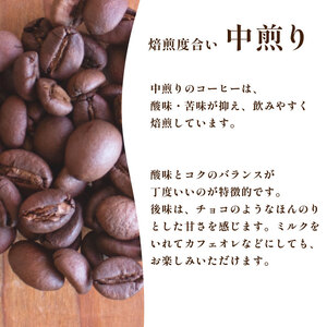 【中煎り】訳ありコーヒー粉800g グアテマラ 自家焙煎コーヒー EW