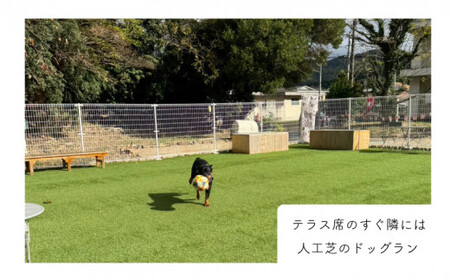 ペア 宿泊券 朝食付き 2名 ペット (犬 いぬ 古民家 リゾート レストラン ドッグラン 山口 下関 角島 観光 絶景 犬と泊まれる ペットと泊まれる)JH001