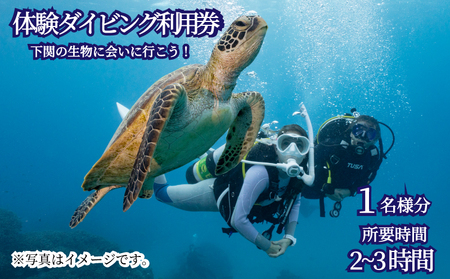 体験 ダイビング アクティビティ 利用券 チケット 1名様分 ビーチ スポーツ マリンスポーツ 下関 山口 JQ002