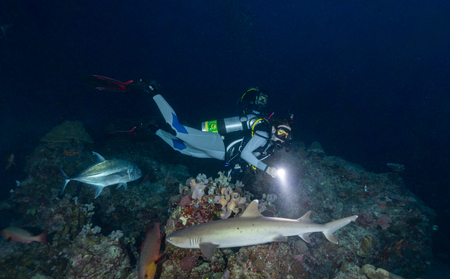 ダイビング 宿泊 体験 ビーチ スポーツ マリンスポーツ 宿泊 下関 山口 JQ003