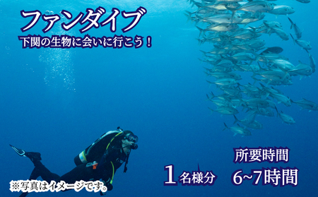 ファン ダイブ 2ダイブ 1名様分 ビーチ スポーツ マリンスポーツ アクティビティ 下関 山口 JQ004