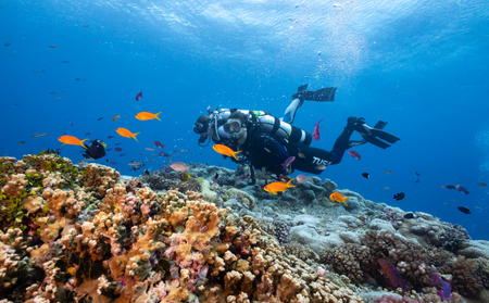 初級 スキューバダイビング ライセンス取得コース Cカード チケット マリンスポーツ 海 下関 山口 JQ001
