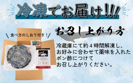 ふぐ 刺身 4-5人前 130g 冷凍 （ お中元 お中元 お中元 お中元 お中元 お中元 お中元 お中元 お中元 お中元 お中元 お中元 お中元 お中元 お中元 お中元 お中元 お中元 お中元 お中元 お中元 お中元 お中元 お中元 お中元 お中元 お中元 お中元 お中元 お中元 お中元 お中元 お中元 お中元 お中元 お中元 お中元 お中元 お中元 お中元 お中元 お中元 お中元 お中元 お中元 お中元 お中元 お中元 お中元 お中元 お中元 お中元 お中元 お中元 お中元 お中元 お中元 お中元 お中元 お中元 お中元 お中元 お中元 お中元 お中元 お中元 お中元 お中元 お中元 お中元 お中元 お中元 お中元 お中元 お中元 お中元 お中元 お中元 お中元 お中元 お中元 お中元 お中元 お中元 お中元 お中元 お中元 お中元 お中元 お中元 お中元 お中元 お中元 お中元 お中元 お中元 お中元 お中元 お中元 お中元 お中元 お中元 お中元 お中元 お中元 お中元 お中元 お中元 お中元 お中元 お中元 お中元 お中元 お中元 お中元 お中元 お中元 お中元 お中元 お中元 お中元 お中元 お中元 お中元 お中元 お中元 お中元 お中元 お中元 お中元 お中元 お中元 お中元 お中元 お中元 お中元 お中元 お中元 お中元 お中元 お中元 お中元 お中元 お中元 お中元 お中元 お中元 お中元 お中元 お中元 お中元 お中元 お中元 お中元 お中元 お中元 お中元 お中元 お中元 お中元 お中元 お中元 お中元 お中元 お中元 お中元 お中元 お中元 お中元 お中元 お中元 お中元 お中元 お中元 お中元 お中元 お中元 お中元 お中元 お中元 お中元 お中元 お中元 お中元 お中元 お中元 お中元 お中元 お中元 お中元 お中元 お中元 お中元 お中元 お中元 お中元 お中元 お中元 お中元 お中元 お中元 お中元 お中元 お中元 お中元 お中元 お中元 お中元 お中元 お中元 お中元 お中元 お中元 お中元 お中元 お中元 お中元 お中元 お中元 お中元 お中元 お中元 お中元 お中元 お中元 お中元 お中元 お中元 お中元 お中元 お中元 お中元 お中元 お中元 お中元 お中元 お中元 お中元 お中元 お中元 お中元 ) 下関市 BV023