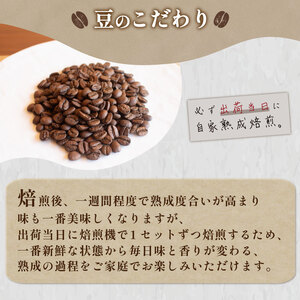 【粗挽き】訳ありブラジルコーヒー豆1kg 自家焙煎コーヒー豆 EW