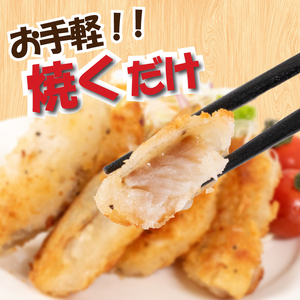 白身魚フライ 塩レモン 9袋 フライ JT001