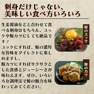 鯨赤身 肉 ブロック 500g 鯨 FG