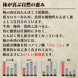 鯨赤身 ブロック 1kg 鯨 FG044