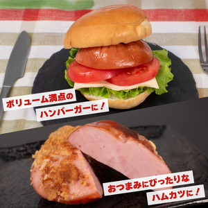 訳あり ハム2kg 冷凍 小分け ブロック ハム IR