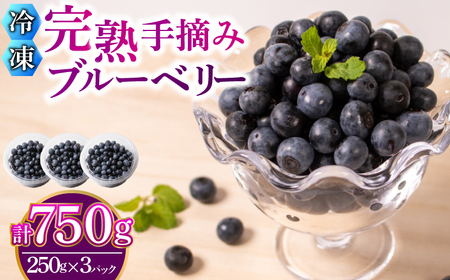 【先行予約】 ブルーベリー 冷凍 750g 冷凍ブルーベリー KY001