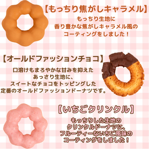 【ふわふわドーナツ】冷凍 5種10個セット ドーナツ