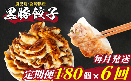 訳あり 餃子180個 餃子定期便 6回 ぎょうざ IB