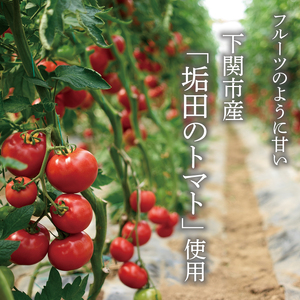 スープ 4袋 セット 垢田トマト トラフグ スープ M25MA4PB