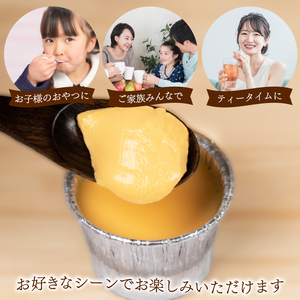 小月プリン 6個入 | プリン LD001