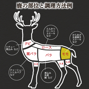 訳あり 鹿肉 もも ブロック 約1kg ジビエ 鹿肉 冷凍 BM108