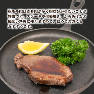 訳あり 鹿肉 もも ブロック 約1kg ジビエ 鹿肉 冷凍 BM108