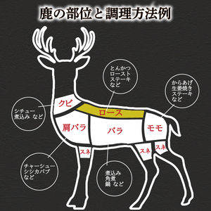 訳あり 鹿肉 ロース ブロック 約 1kg 冷凍 ジビエジビエ BM109