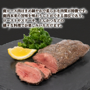 訳あり 鹿肉 ロース ブロック 約 1kg 冷凍 ジビエジビエ BM109