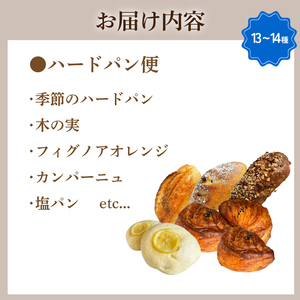 ハードパン 13-14種 パン LV