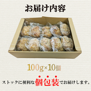 ハンバーグ 10個 冷凍 ハンバーグ 惣菜 肉 おかず MB003