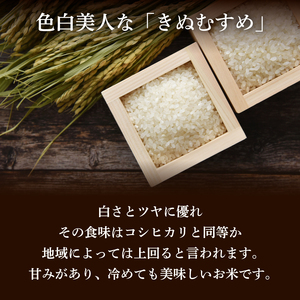 【精米】きぬむすめ 10kg お米 HC