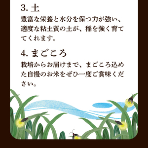 【精米】きぬむすめ 10kg お米 HC