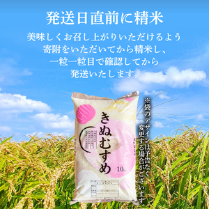【精米】きぬむすめ 10kg お米 HC
