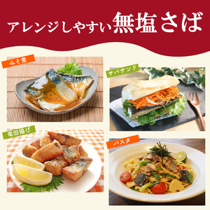 【訳あり】 無塩さば 骨取り 約1kg さば MH