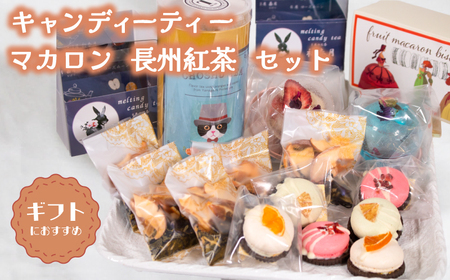 【キャンディーティー】 マカロン 長州紅茶 セット 紅茶 LL