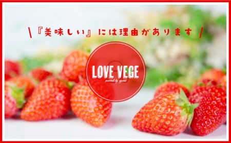 野菜 果物 フルーツ 旬 詰め合わせ セット 10種 採れたて 新鮮 下関市 山口 FA01-NT