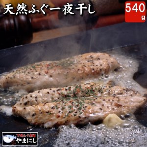 ふぐ干物 540g 一夜干し アレンジ 料理 旨味 高級 魚 下関 山口  干物 干物 干物 AU205-NT